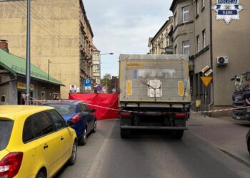 Autor: Śląska Policja