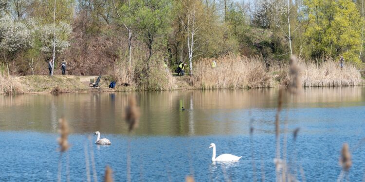 Miejski Dzień Ziemi w Chorzowie. Chorzowianie zadbali o czystość Żabich Dołów