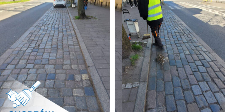 Chorzów porządkowany każdego dnia. Miejskie służby regularnie pracują w terenie