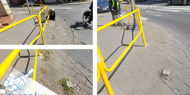 Chorzów porządkowany każdego dnia. Miejskie służby regularnie pracują w terenie