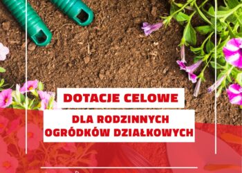 Chorzów wesprze Rodzinne Ogrody Działkowe. Rusza nabór wniosków o dotacje
