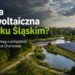 Farma fotowoltaiczna w Parku Śląskim? Mieszkańcy pytają, gdzie kończy się zielona energia, a zaczyna ochrona parku