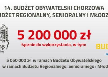 Chorzowianie zgłosili 82 projekty. Duże zainteresowanie budżetami obywatelskimi