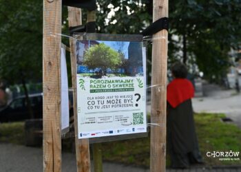 Wspólnie zaplanują skwer na Cwajce. Ruszyły zapisy na warsztaty dla mieszkańców