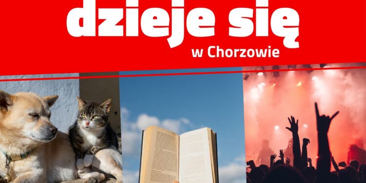 Pierwszy weekend września w Chorzowie. Co będzie się działo?